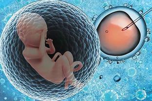 供卵包男孩正规代生公司